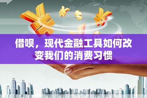 安岳借呗，现代金融工具如何改变我们的消费习惯