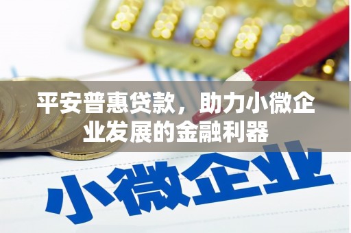 安岳平安普惠贷款，助力小微企业发展的金融利器
