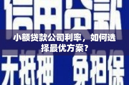安岳小额贷款公司利率，如何选择最优方案？