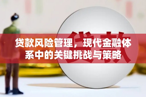 安岳贷款风险管理，现代金融体系中的关键挑战与策略