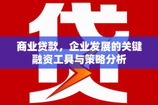 安岳商业贷款，企业发展的关键融资工具与策略分析