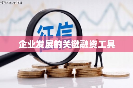 安岳企业发展的关键融资工具