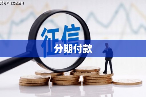 安岳分期付款