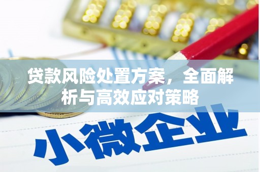 安岳贷款风险处置方案，全面解析与高效应对策略