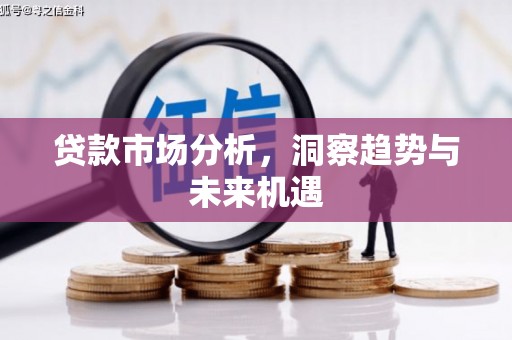 安岳贷款市场分析，洞察趋势与未来机遇