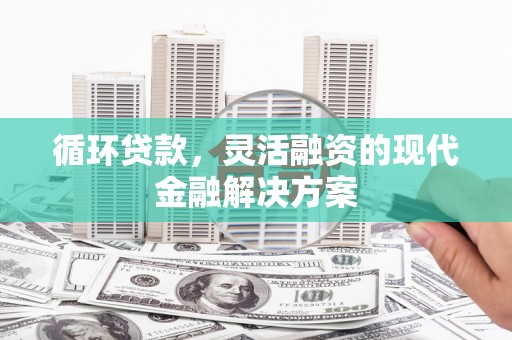 安岳循环贷款，灵活融资的现代金融解决方案
