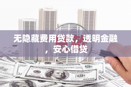 安岳无隐藏费用贷款，透明金融，安心借贷