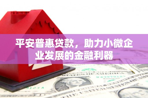 安岳平安普惠贷款，助力小微企业发展的金融利器