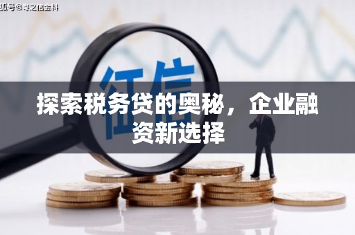 安岳探索税务贷的奥秘，企业融资新选择
