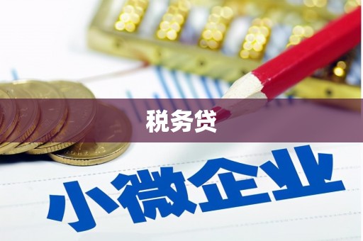 安岳税务贷
