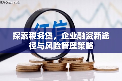 安岳探索税务贷，企业融资新途径与风险管理策略