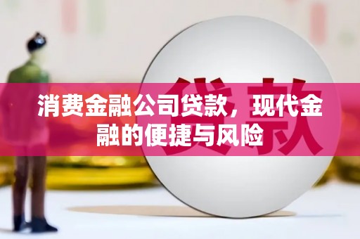 安岳消费金融公司贷款，现代金融的便捷与风险