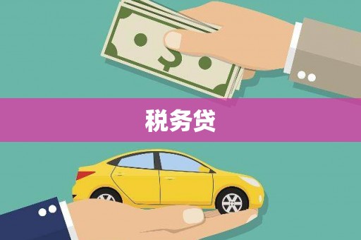 安岳税务贷