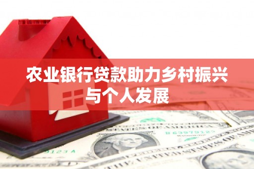 安岳农业银行贷款助力乡村振兴与个人发展
