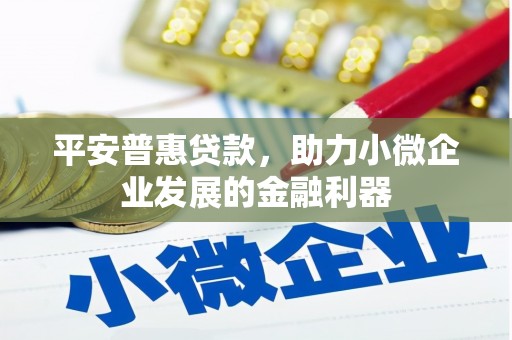安岳平安普惠贷款，助力小微企业发展的金融利器