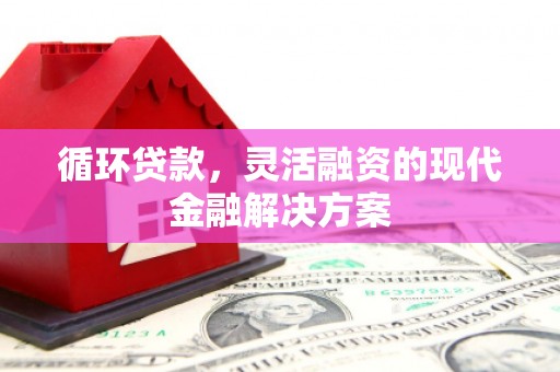 安岳循环贷款，灵活融资的现代金融解决方案