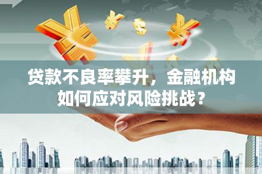 安岳贷款不良率攀升，金融机构如何应对风险挑战？