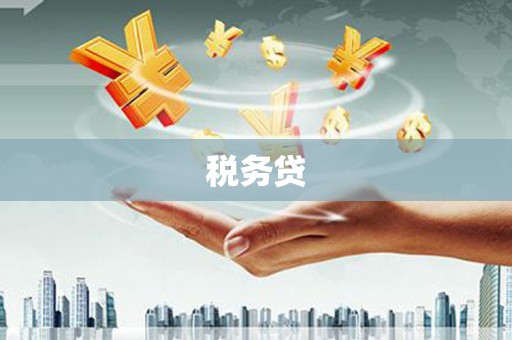 安岳税务贷