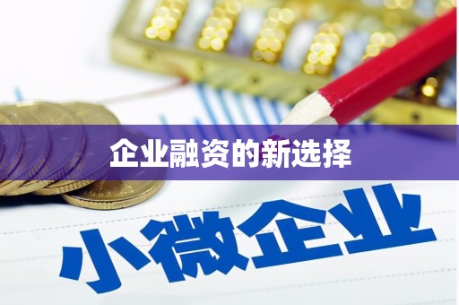 安岳企业融资的新选择