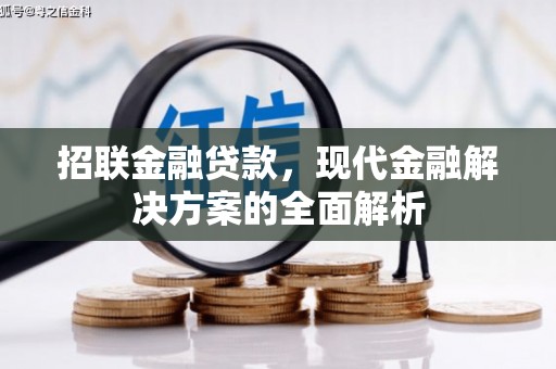 安岳招联金融贷款，现代金融解决方案的全面解析