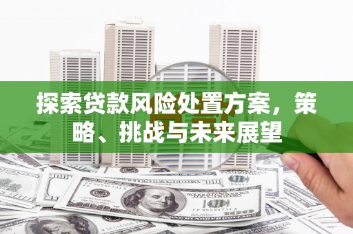 安岳探索贷款风险处置方案，策略、挑战与未来展望