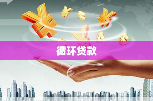 安岳循环贷款