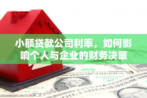 安岳小额贷款公司利率，如何影响个人与企业的财务决策