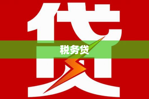 安岳税务贷
