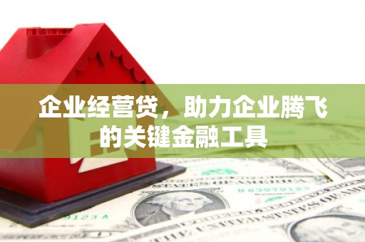 安岳企业经营贷，助力企业腾飞的关键金融工具