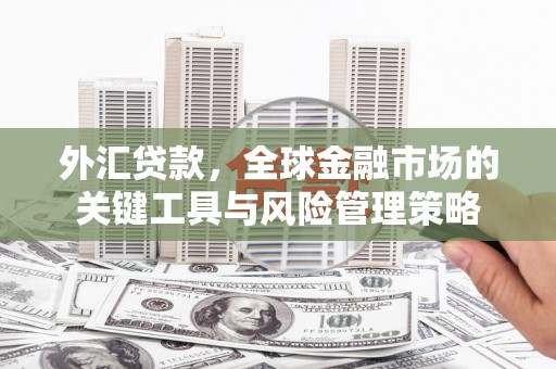 安岳外汇贷款，全球金融市场的关键工具与风险管理策略