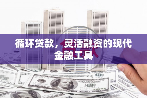 安岳循环贷款，灵活融资的现代金融工具