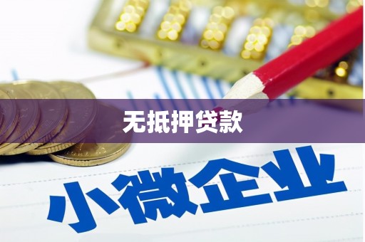 安岳无抵押贷款