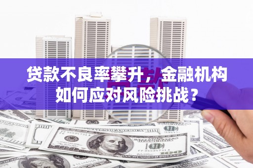 安岳贷款不良率攀升，金融机构如何应对风险挑战？