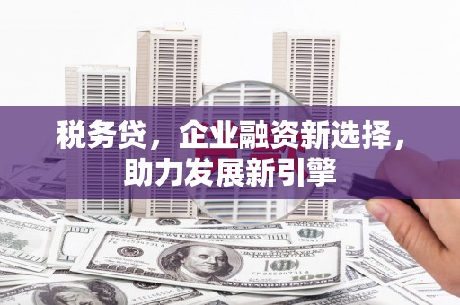 安岳税务贷，企业融资新选择，助力发展新引擎