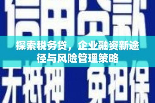 安岳探索税务贷，企业融资新途径与风险管理策略