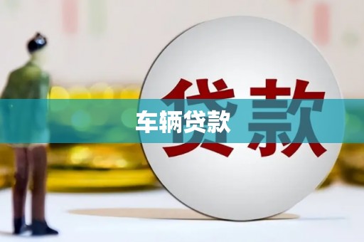 安岳车辆贷款