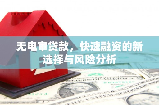 安岳无电审贷款，快速融资的新选择与风险分析