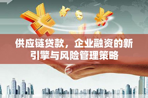 安岳供应链贷款，企业融资的新引擎与风险管理策略