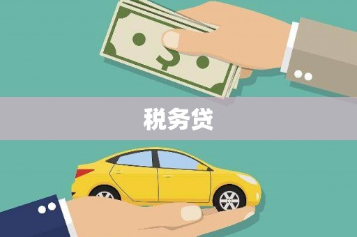 安岳税务贷