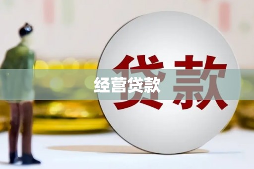 安岳经营贷款