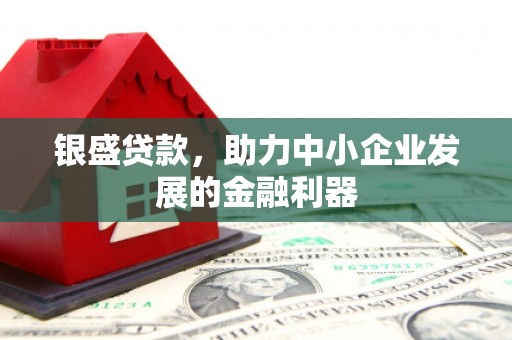 安岳银盛贷款，助力中小企业发展的金融利器