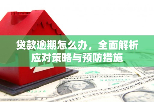 安岳贷款逾期怎么办，全面解析应对策略与预防措施