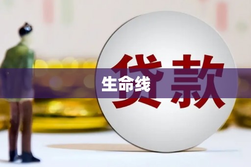 安岳生命线