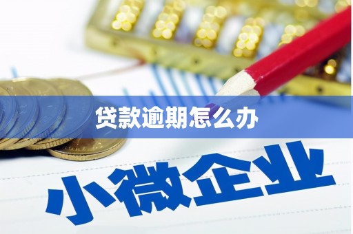 安岳贷款逾期怎么办