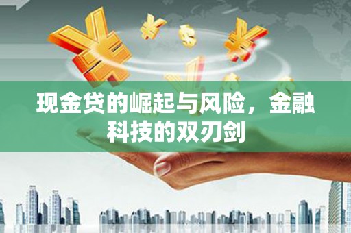 安岳现金贷的崛起与风险，金融科技的双刃剑