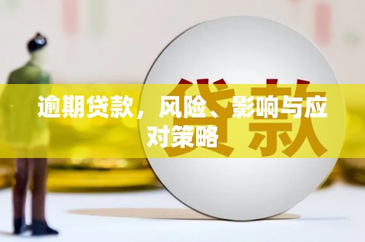 安岳逾期贷款，风险、影响与应对策略