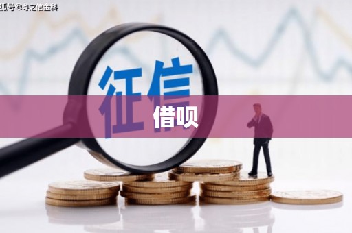 安岳借呗