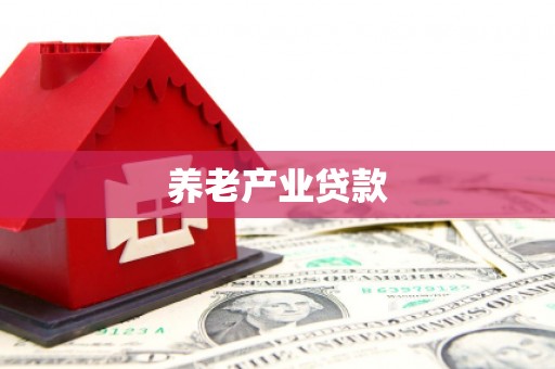 安岳养老产业贷款