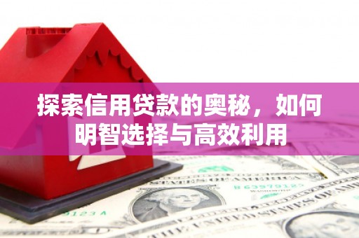 安岳探索信用贷款的奥秘，如何明智选择与高效利用