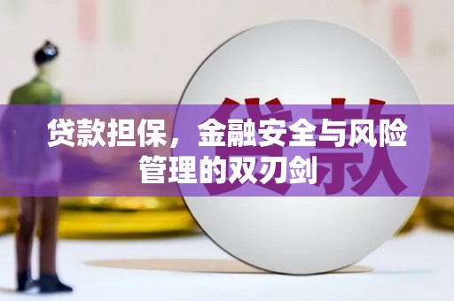 安岳贷款担保，金融安全与风险管理的双刃剑